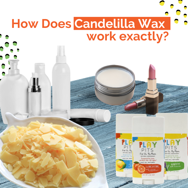 How Does Candelilla Wax work exactly