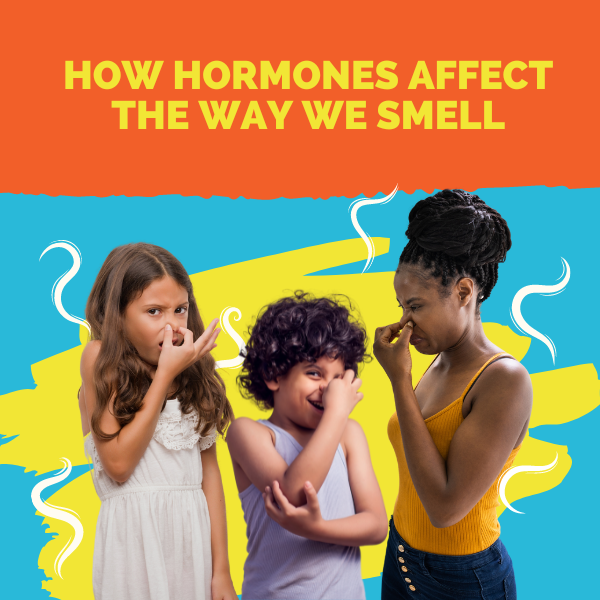 How hormones affect the way we smell